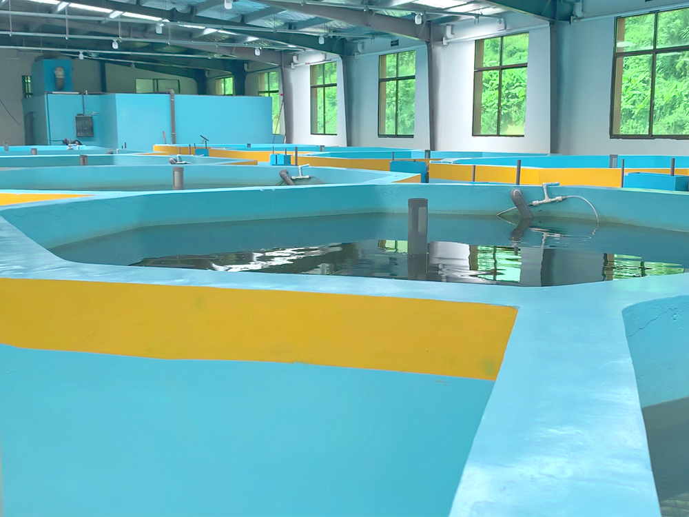 貴州三穗- 淡水魚(yú)類 - 淡水