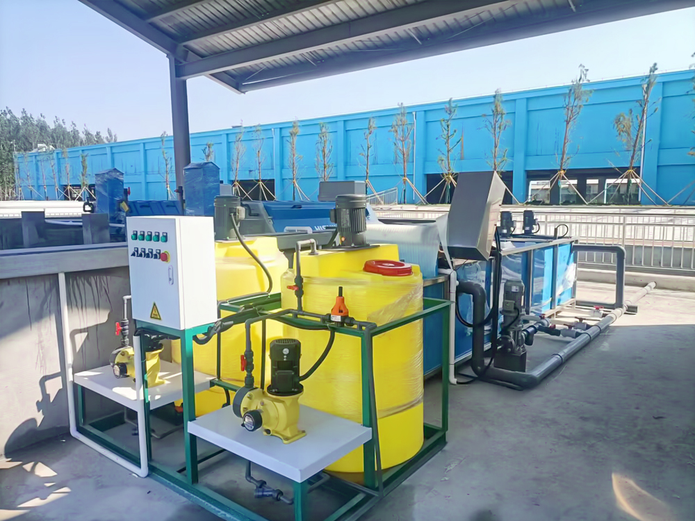 山東微山 - 加州鱸魚(yú) - 淡水