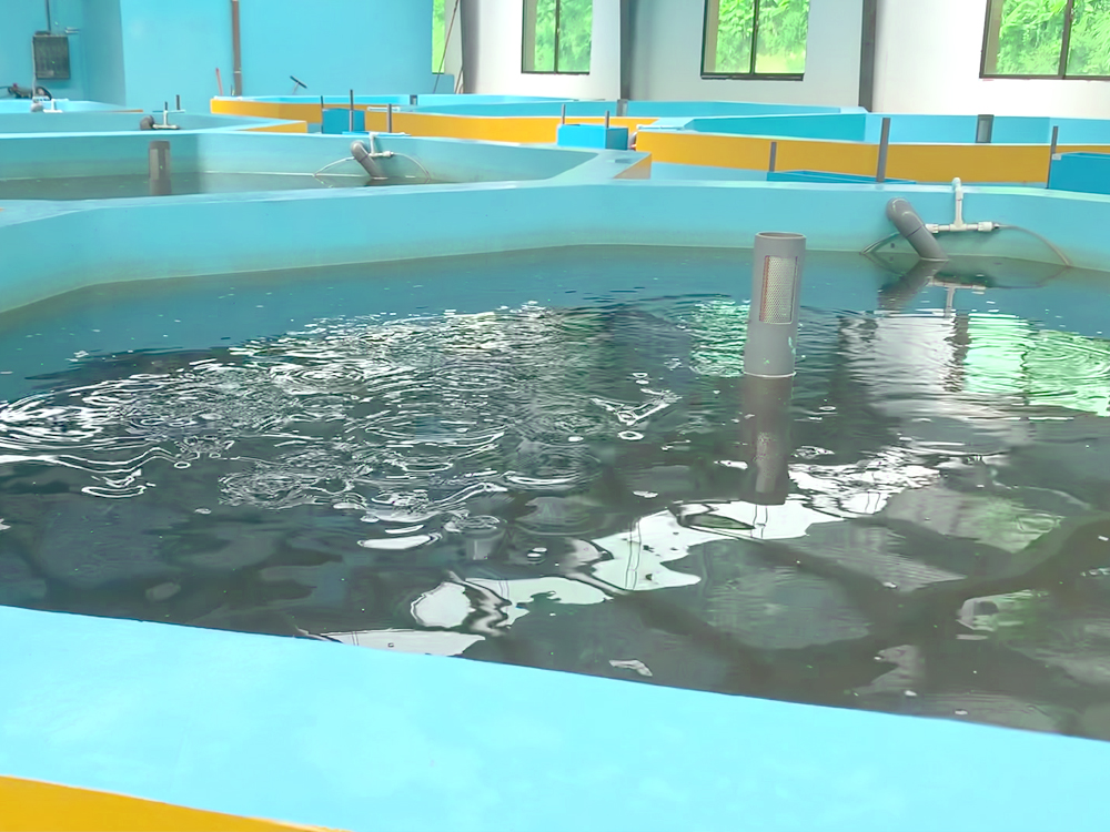 貴州三穗- 淡水魚(yú)類 - 淡水