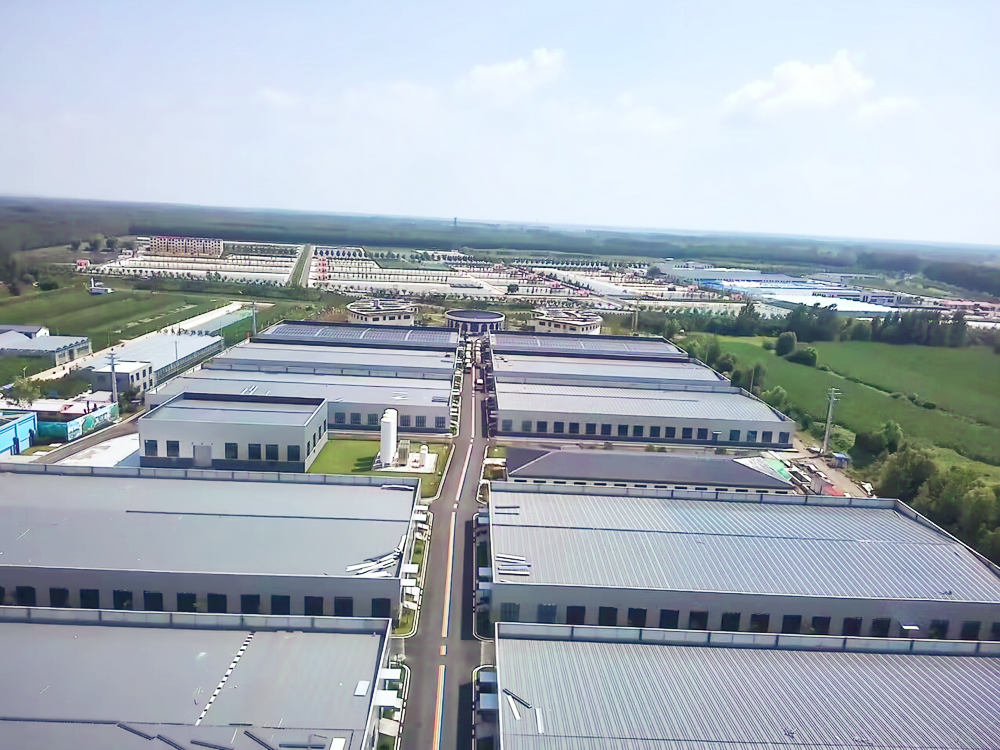 山東微山 - 加州鱸魚(yú) - 淡水