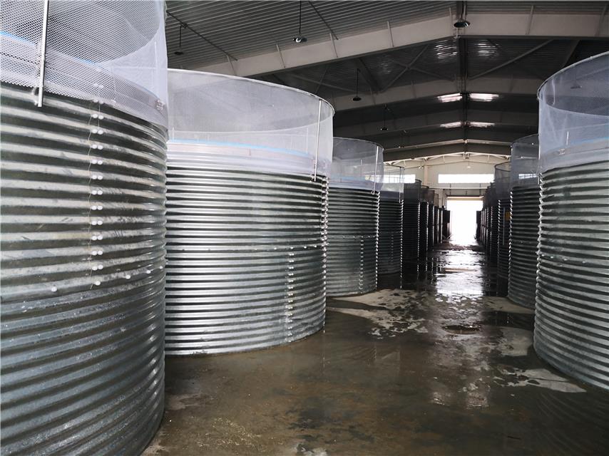 1600222800823564.jpg 1600222800823564.jpg